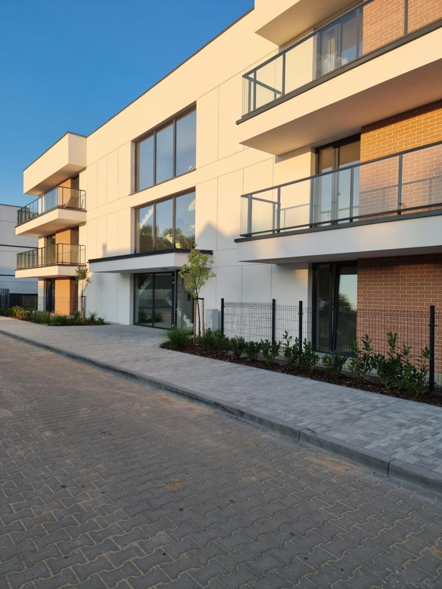 Apartament Fryderyk Lagow Lagow (Swiebodzin) Exterior foto